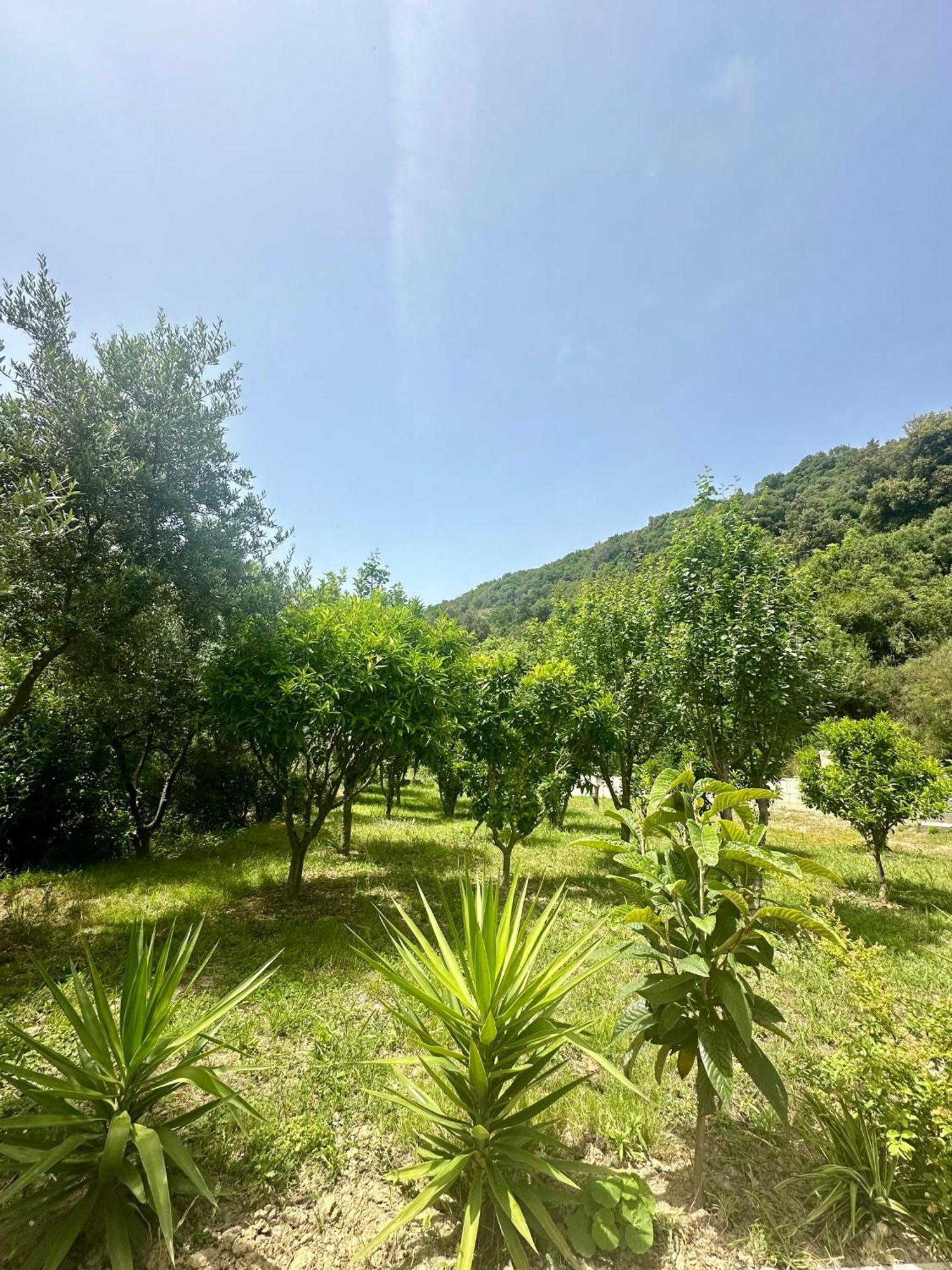 Appartamento Fabio Gjiri I Lalzit Durrës